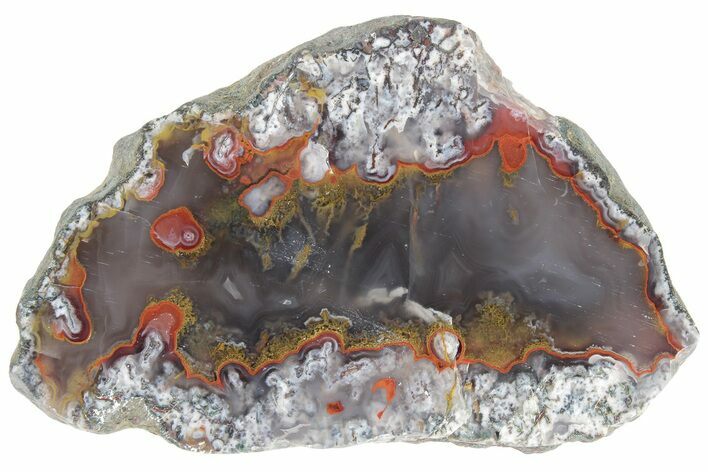 Polished Banded Agate Nodule Section - Morocco #186995